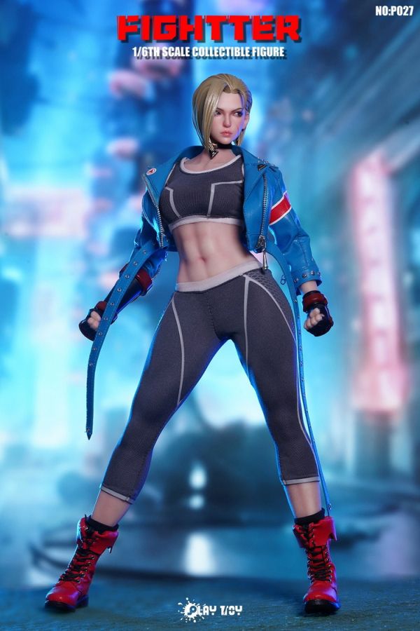 [Pre-Order] PlayToy P027 Fighter 1/6 Scale